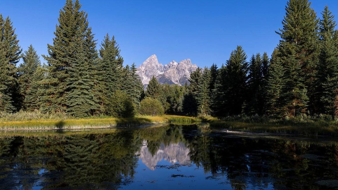 MLB’s Ambitious Plan for a National Park Baseball Game