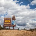The Impact of the Trump Administration on Conservation Efforts