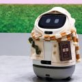 AI Robot for Senior Assistance: Doova’s Role in Independent Living