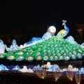 Nashville Zoo Cancels Zoolumination Due to Visa Denials