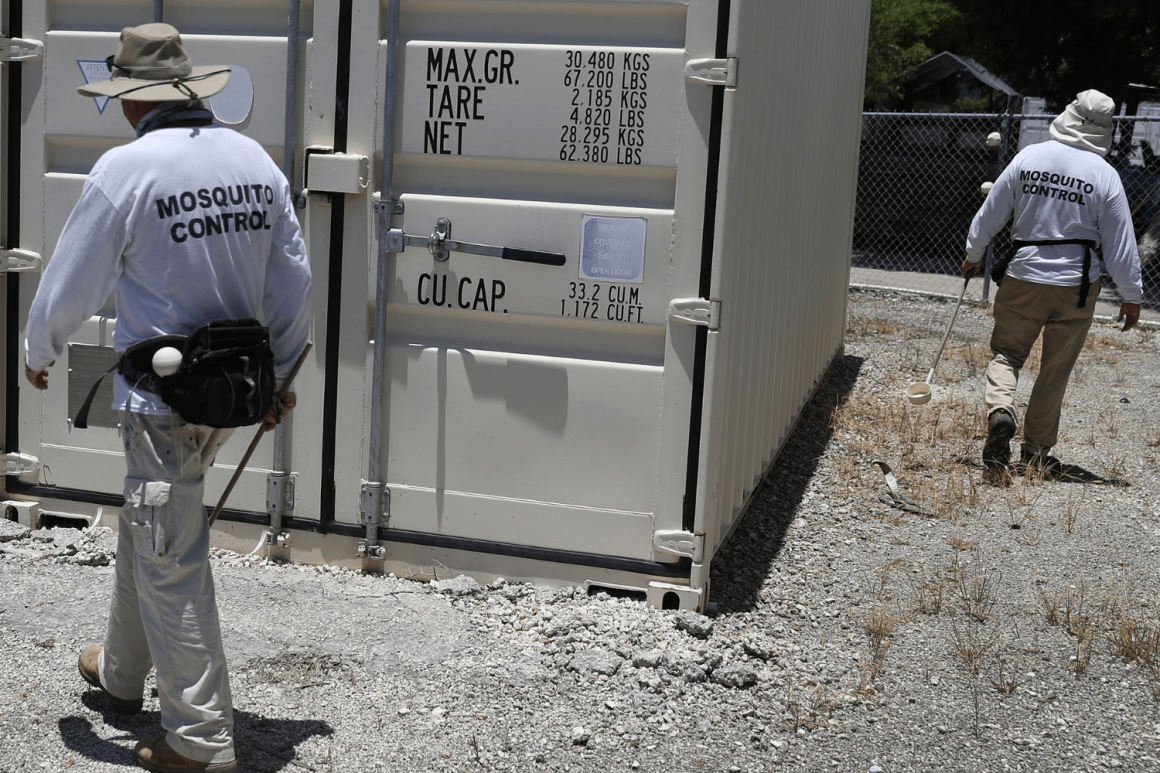 baab792f-39ce-4a3b-a5fa-402194d6bc8d First Dengue Death in Florida Amid Rising U.S. Cases