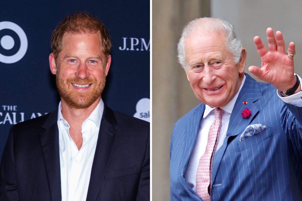 Status of Prince Harry and Meghan Markle as Non-Working Royals Reaffirmed