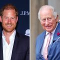 Status of Prince Harry and Meghan Markle as Non-Working Royals Reaffirmed