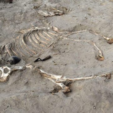 Archaeological Discoveries Uncover Ancient Egyptian Fortress