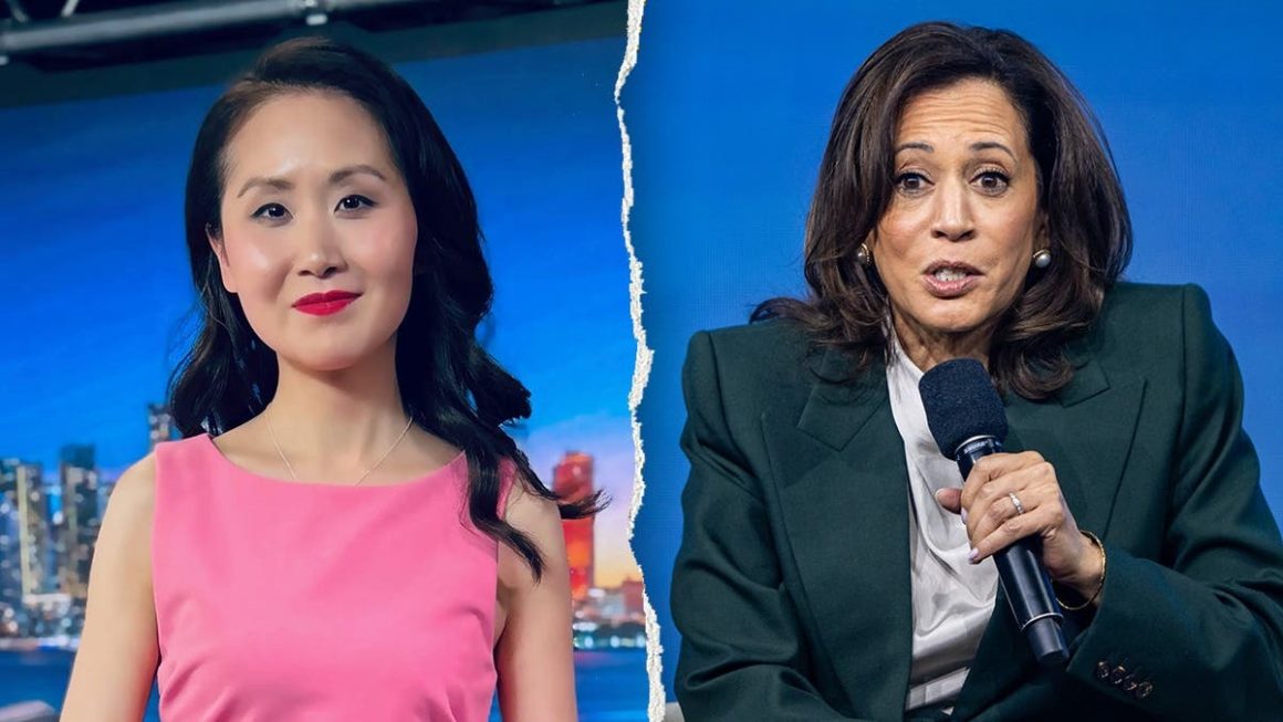 Former Democratic Fundraiser Critiques Biden’s Campaign and Harris’s Donor Strategies
