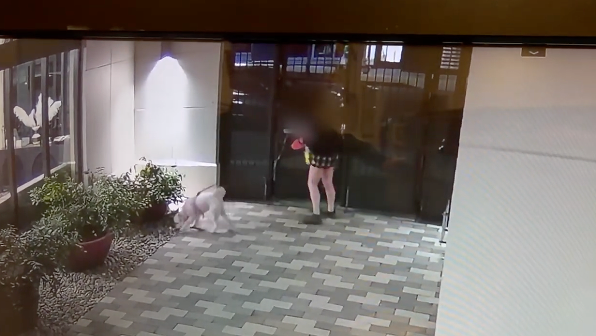 UC Berkeley Student Pursued by Homeless Man Inside Apartment Complex