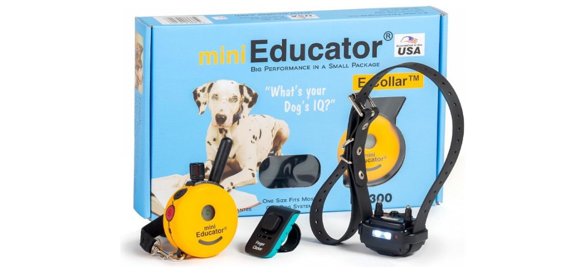 Choosing the Best Bark Collars for Dogs