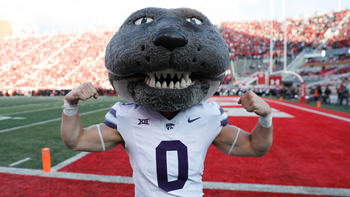 Willie the Wildcat’s Workout Earned Applause: A Mascot Pushes Limits