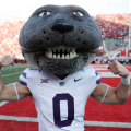 Willie the Wildcat’s Workout Earned Applause: A Mascot Pushes Limits