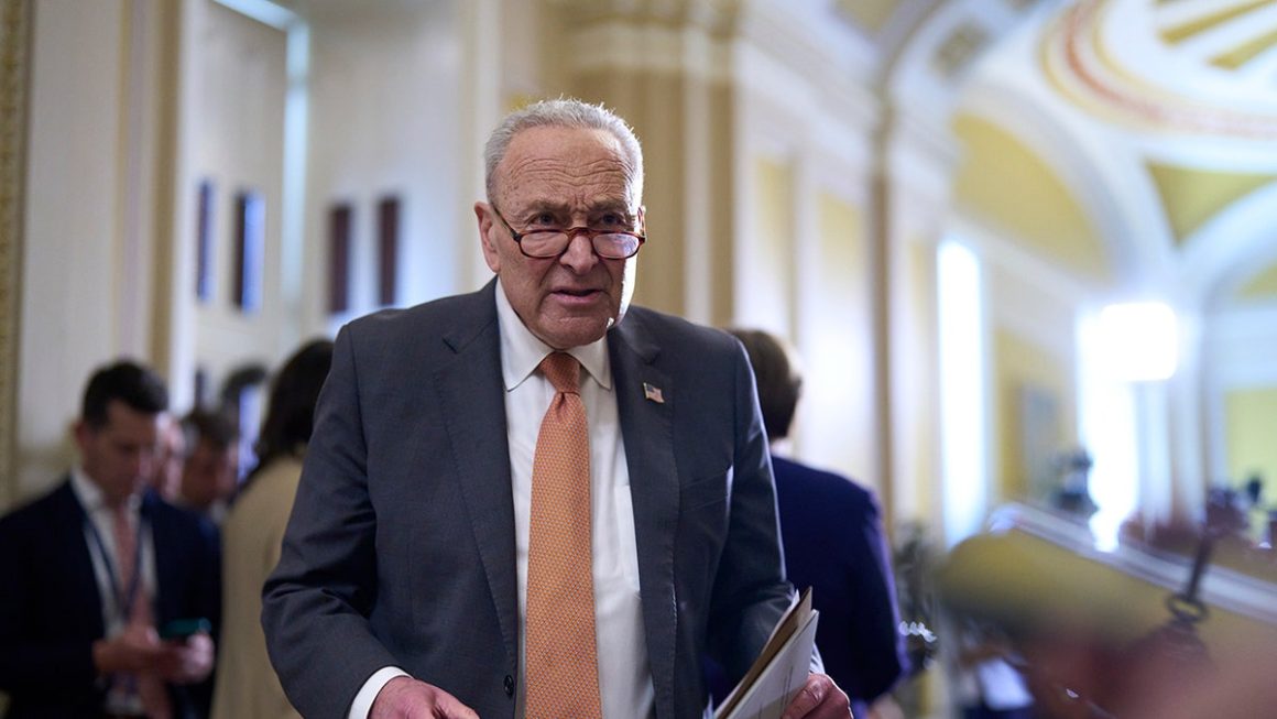 Democrats Eye Senate Majority with Midterms Approaching