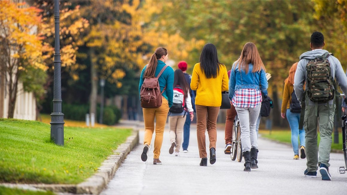 The Impact of Education on the Workforce