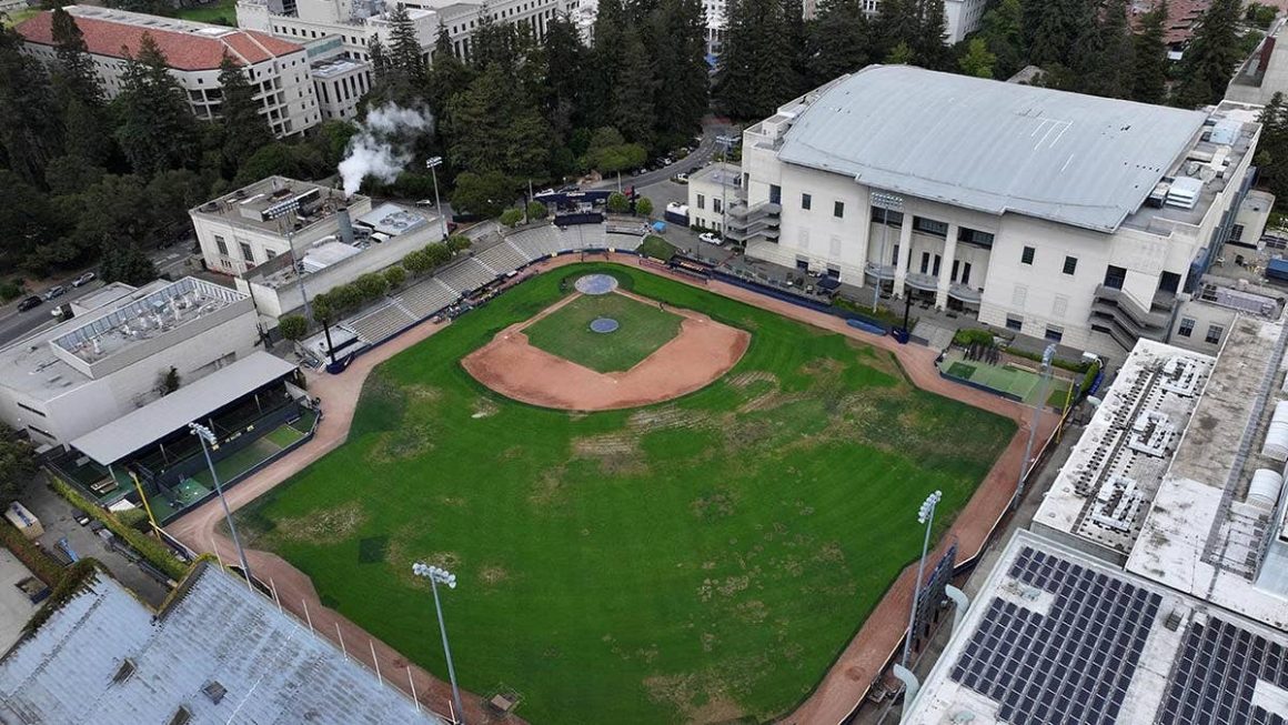 Allegations Against Former UC Berkeley Softball Coach