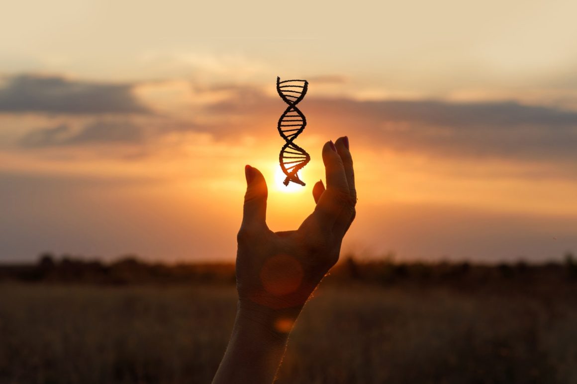Genetic Study Links Personality Traits to Health Outcomes