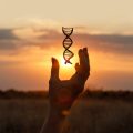 Genetic Study Links Personality Traits to Health Outcomes