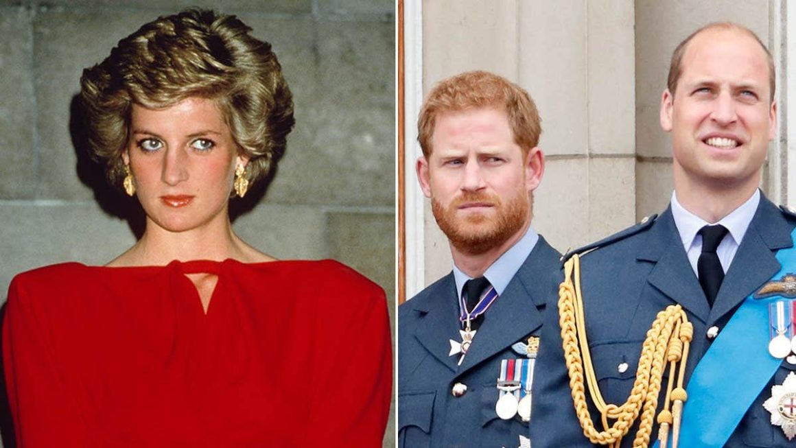Princess Diana’s Concerns About Her Sons and the Royal Family