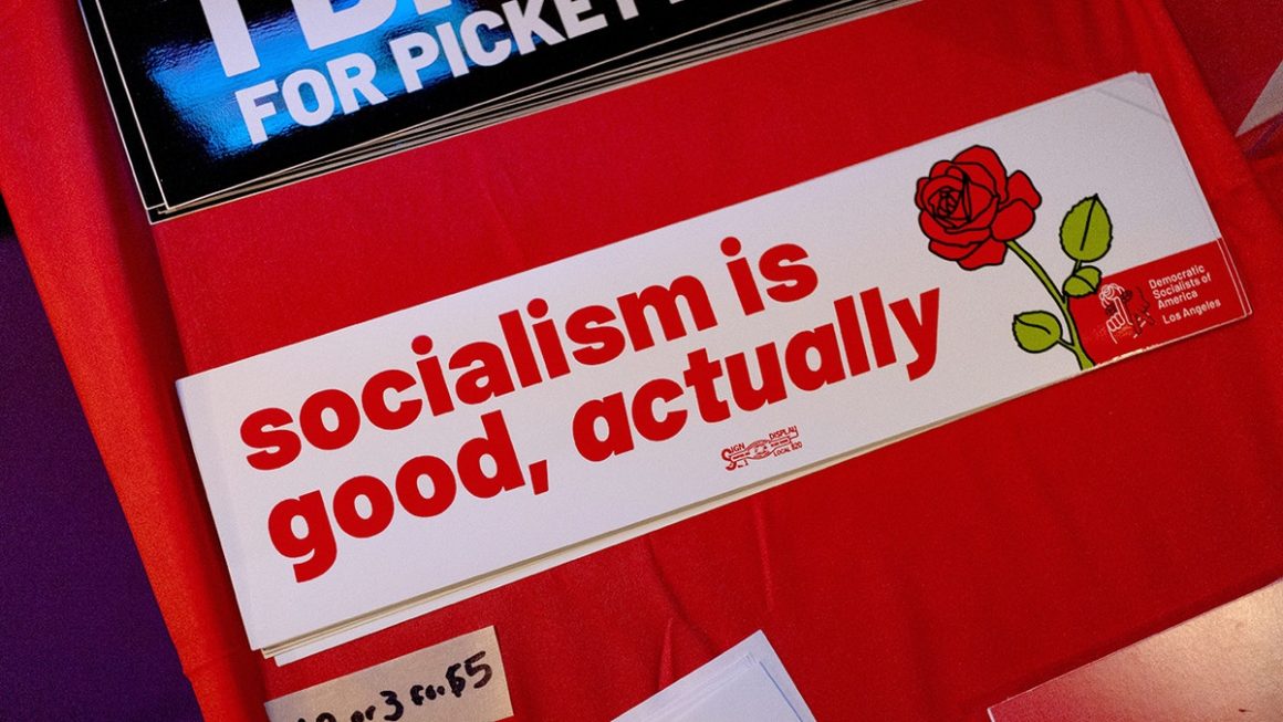 DSA Influence and Republican Concerns in State Elections