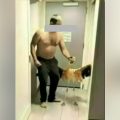 Canadian Tourist Convicted of Animal Cruelty in Flamingo Incident