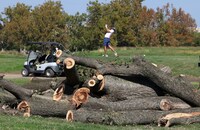 0fe641eb-8f46-447d-8b8e-d2d26fe481a5 Controversial Tree Removal at East Potomac Golf Links