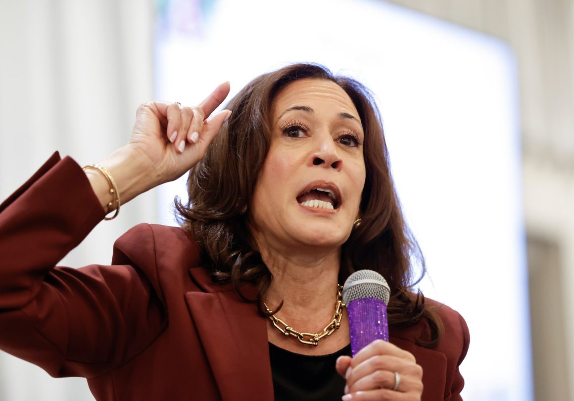 Kamala Harris Leads 2028 Democratic Poll Over Newsom