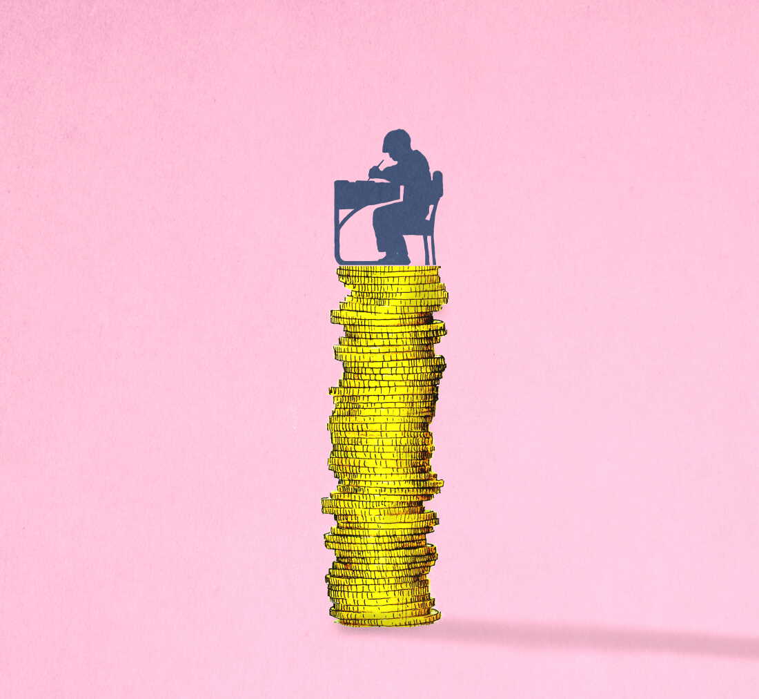 Illustration of schoolboy writing at desk balancing on stack of coins symbolizing education costs Democrats Face Dilemma Over Federal Scholarship Tax Credit
