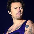 Harry Styles: From Music to Acting and Beyond