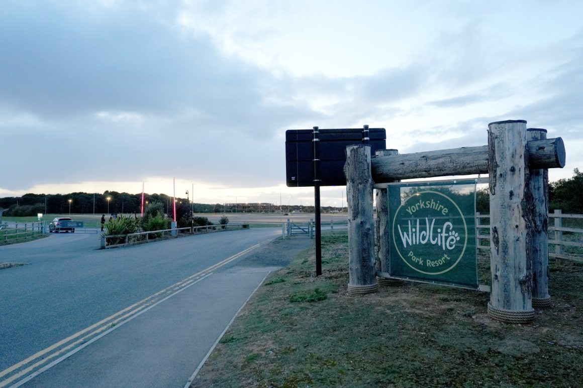 Fatal Tiger Attack at Yorkshire Wildlife Park Sparks Investigation