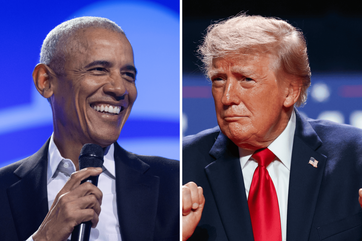Midterm Election Campaigns: Obama and Trump Strategies
