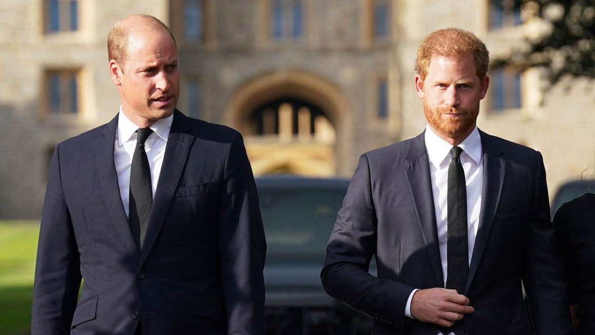 Tensions Persist Between Prince William and Prince Harry Amid Discussions on Diana’s Legacy