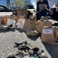 Bird Collisions Highlight Need for Bird-Friendly Building Ordinance in Chicago