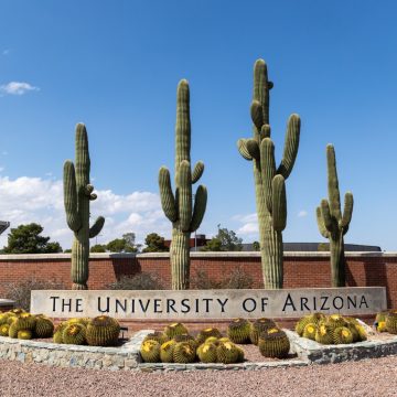University of Arizona Suspends Fraternities Amid Misconduct Investigations