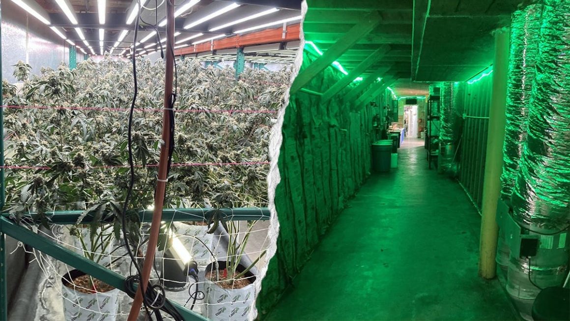 4d9f0091-f8a6-498f-9c50-ef2749b5322a Rep. Gallagher Urges FBI to Address Illegal Marijuana Operations in Northern California
