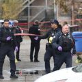 Police Investigate After Gage Park Woman Dies Following Fall and Domestic Incident