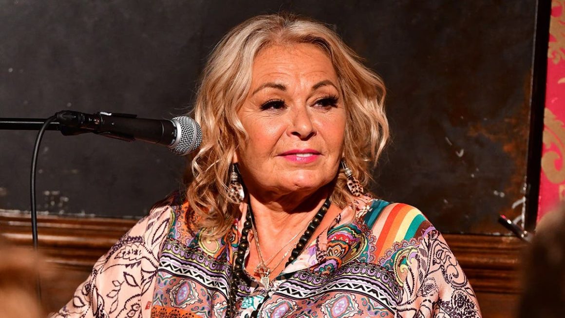Roseanne Barr Seeks New Opportunities with Self-Financed Sitcom