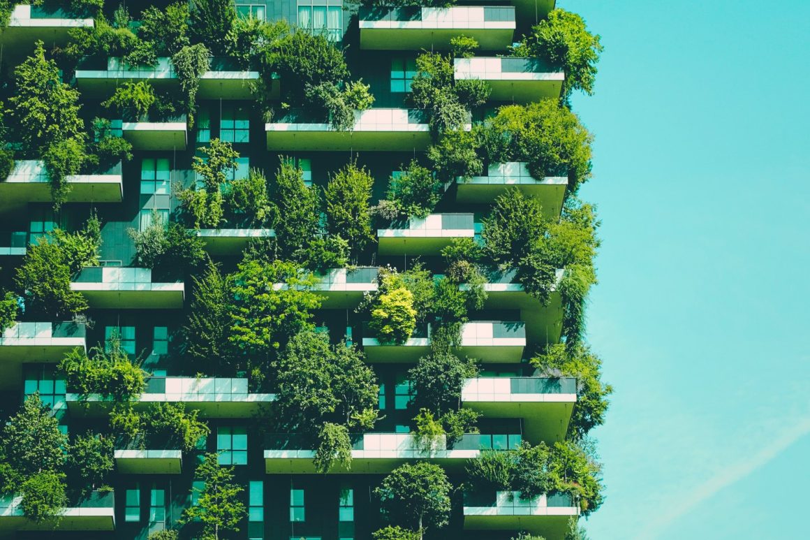 Study Links Green Spaces to Reduced Dementia Risk in Older Adults