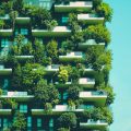 Study Links Green Spaces to Reduced Dementia Risk in Older Adults
