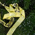 Five Fatalities in South Georgia as Police Probe Suspected Murder-Suicide