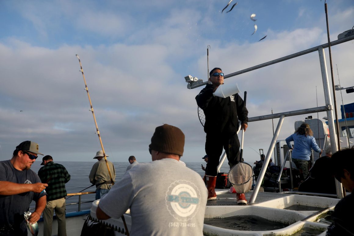 Impact of Super El Niño on Recreational Fishing in California