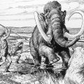 Revisiting the Timeline of Human Migration into North America
