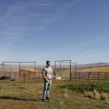 Montana’s Unconventional Democratic Hopeful