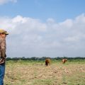 Republican Senate Seats at Risk in Key Farm States