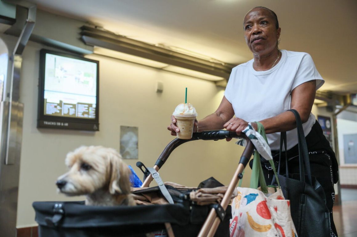 Metrolink Fare Hike Stirs Rider Discontent Amid Budget Struggles and Service Cuts