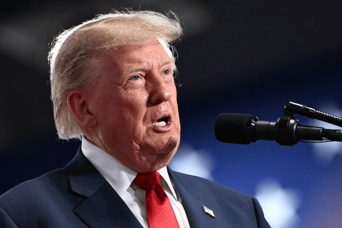 Trump Criticizes New York Surrogacy Bill at Campaign Event