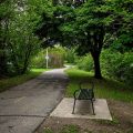 Police Probe Possible Serial Killer at Lansing River Trail