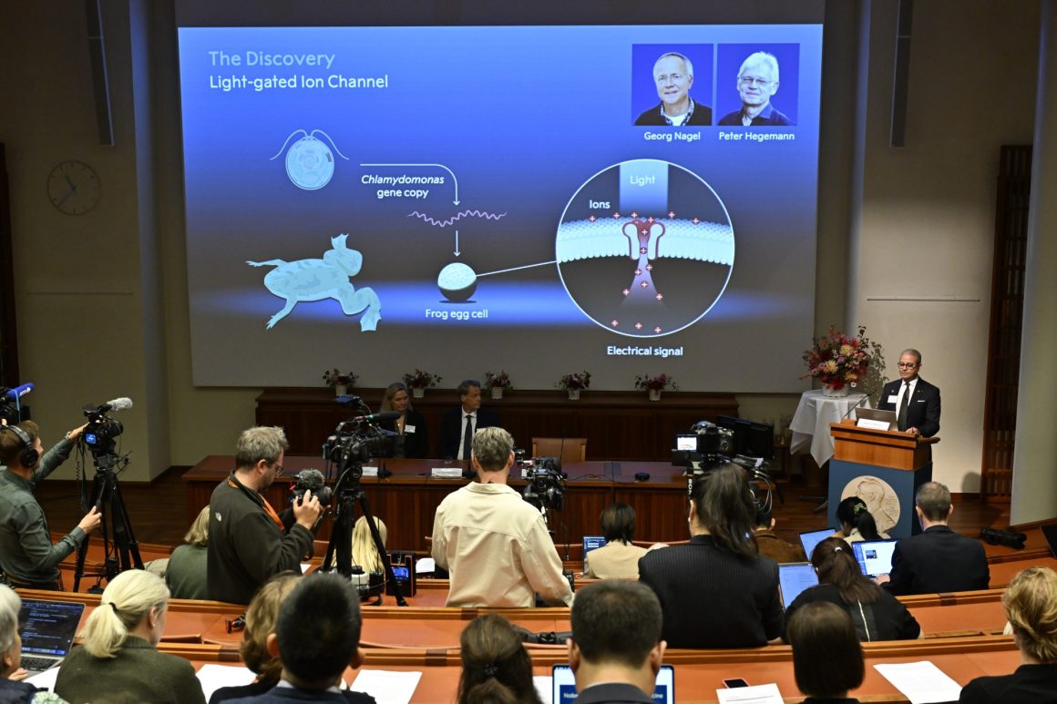 2026 Nobel Prize in Medicine Awarded for Optogenetics Research
