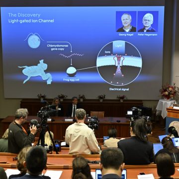 2026 Nobel Prize in Medicine Awarded for Optogenetics Research