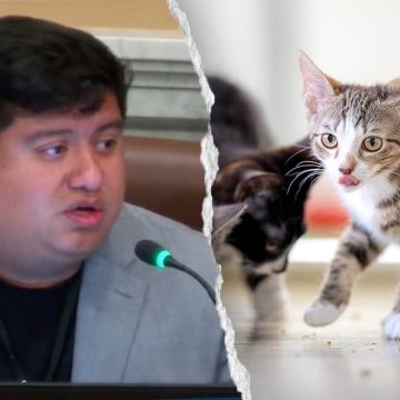 Minneapolis Council Member Criticized for Cat Safety Concerns with Self-Driving Cars