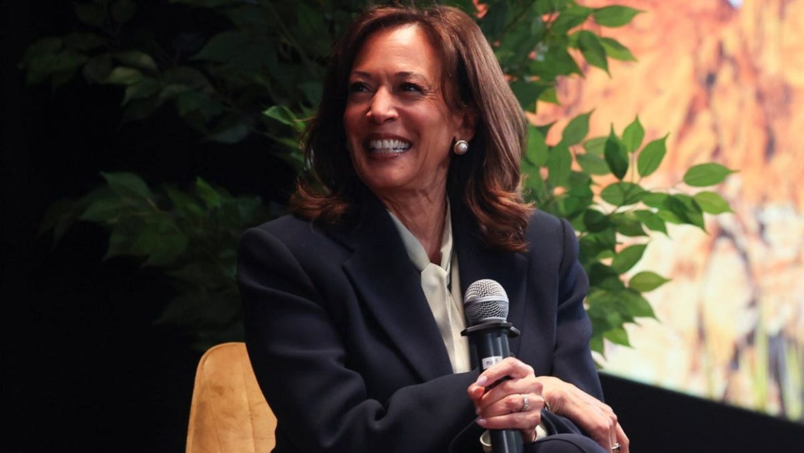 Kamala Harris Faces Mixed Reactions on Potential 2028 Run