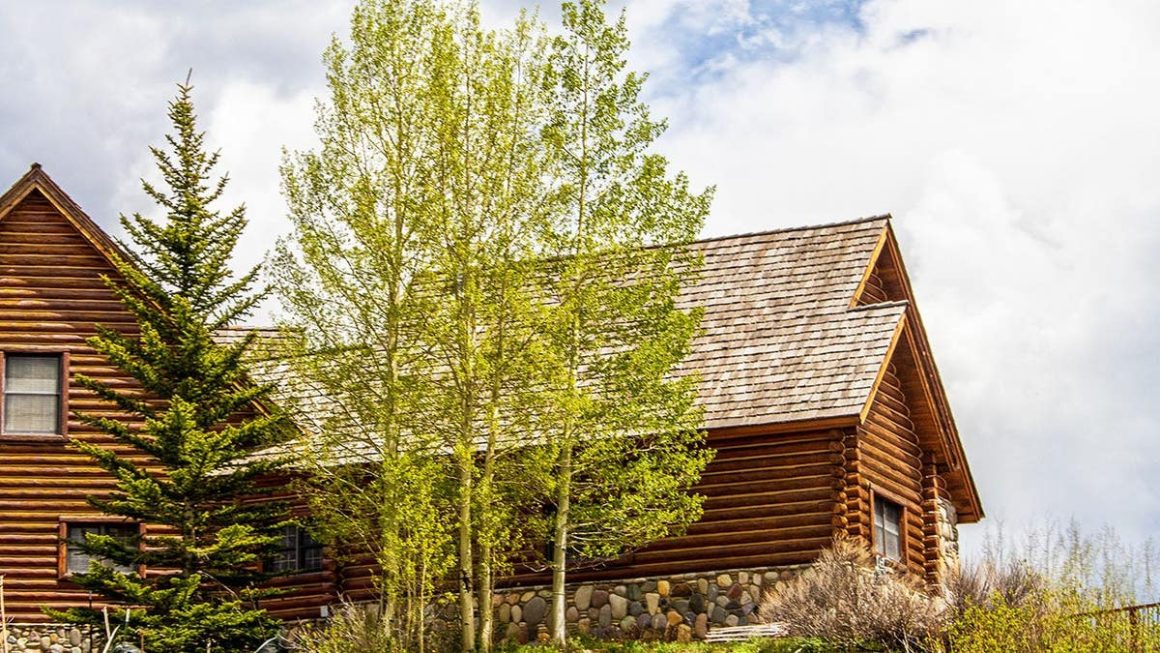 Surveillance Footage Solves Mystery of Barking Dog at Mountain Cabin