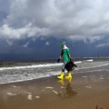 Marine Life Decline Post-Deepwater Horizon: A Closer Look at Gulf Impact