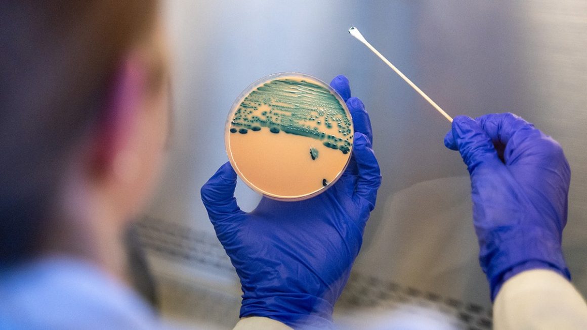 Shigella Infection: Rising Drug Resistance Raises Concerns